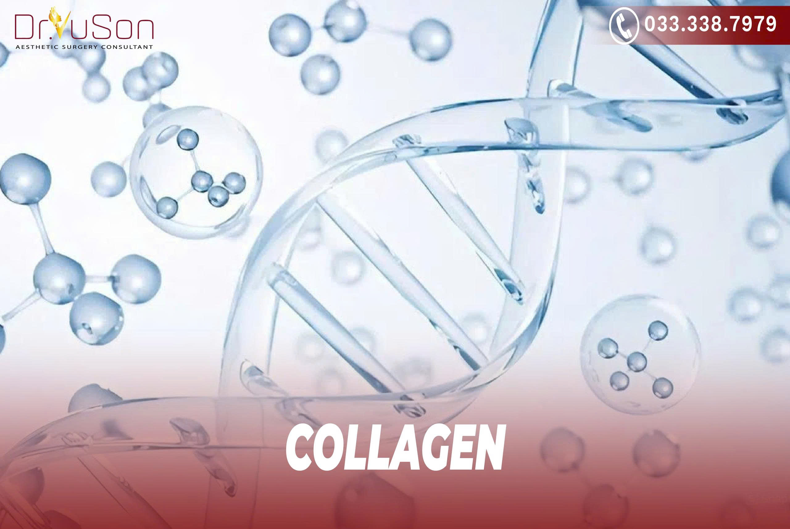 Collagen là protein cấu trúc chính yếu, giúp liên kết các mô, mang lại độ đàn hồi và bền chắc cho cơ thể